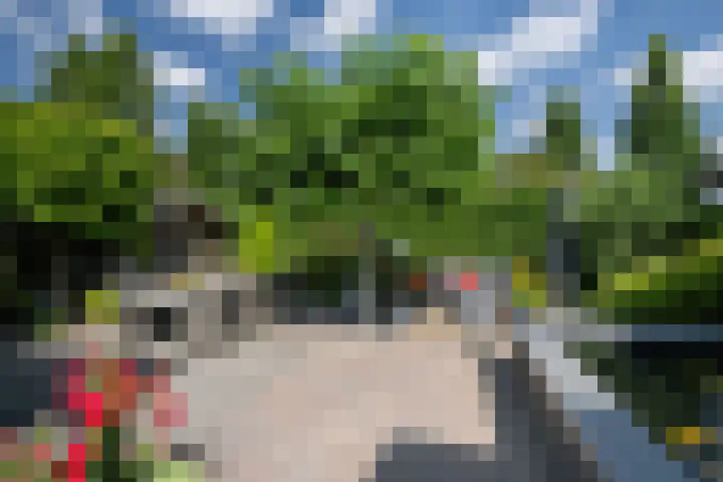 Windsingel 44 Tholen thumbnail 45