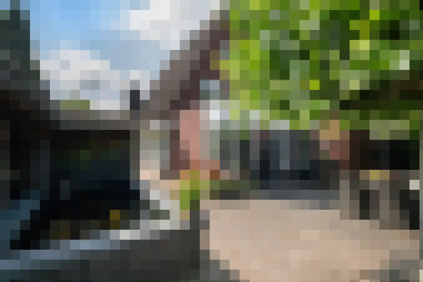 Windsingel 44 Tholen thumbnail 47