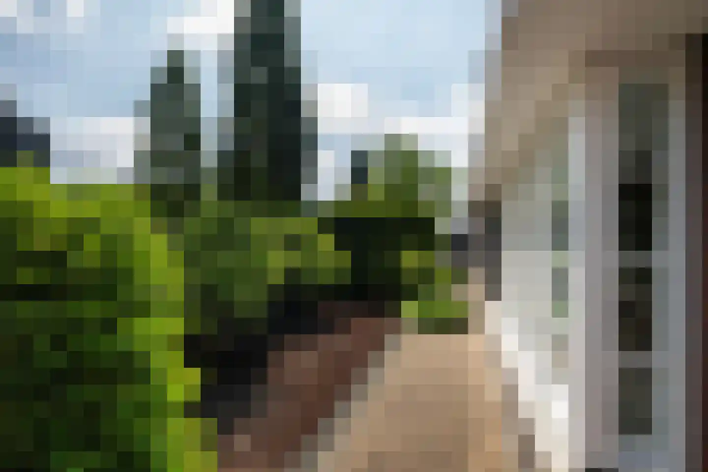 Windsingel 44 Tholen thumbnail 49