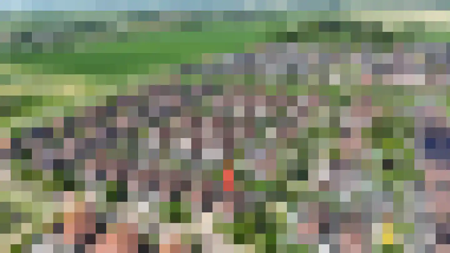 Windsingel 44 Tholen thumbnail 5