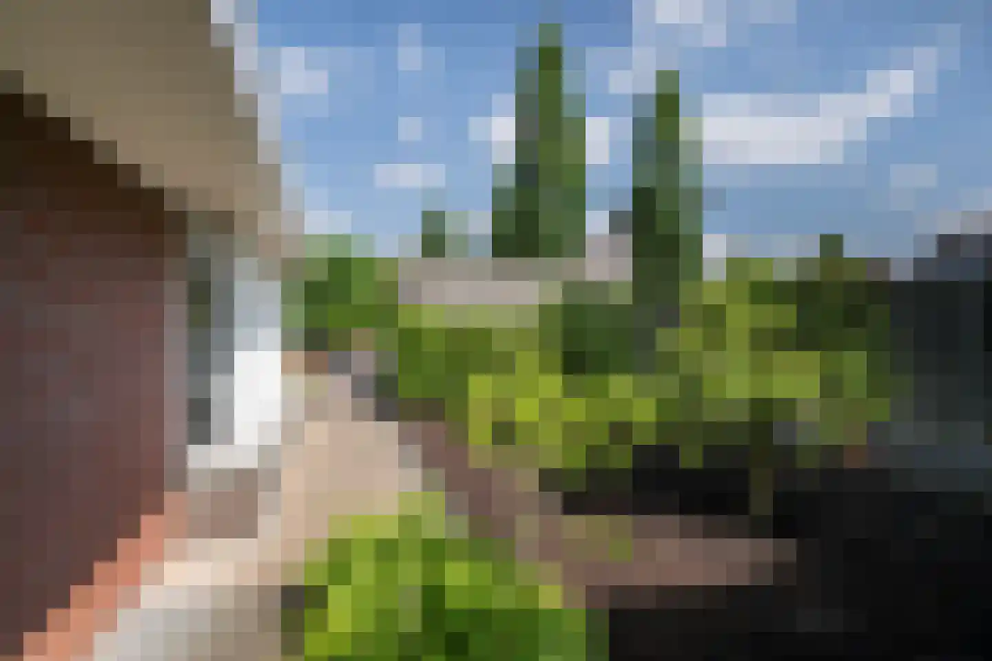 Windsingel 44 Tholen thumbnail 50