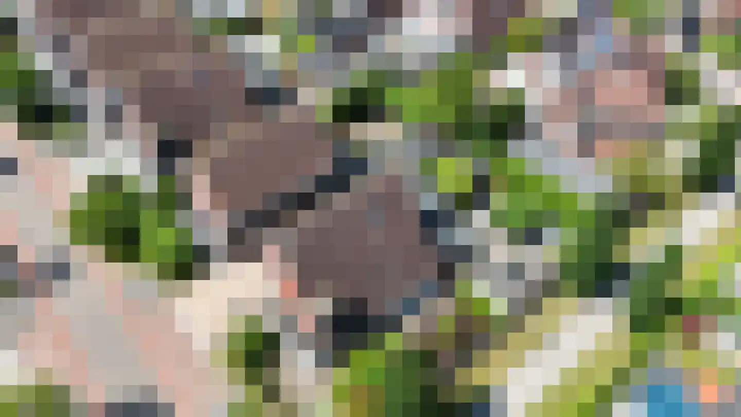 Windsingel 44 Tholen thumbnail 51