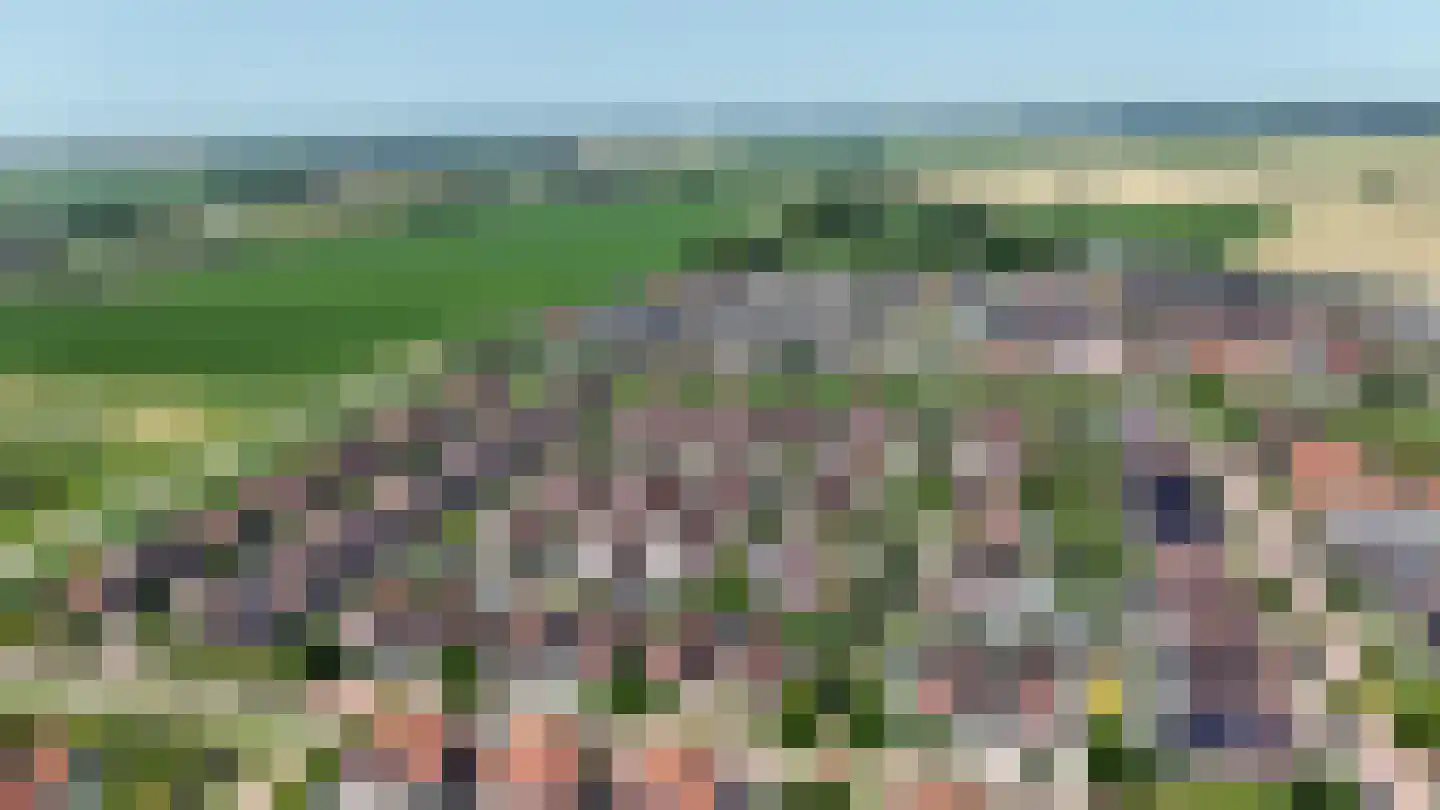 Windsingel 44 Tholen thumbnail 52