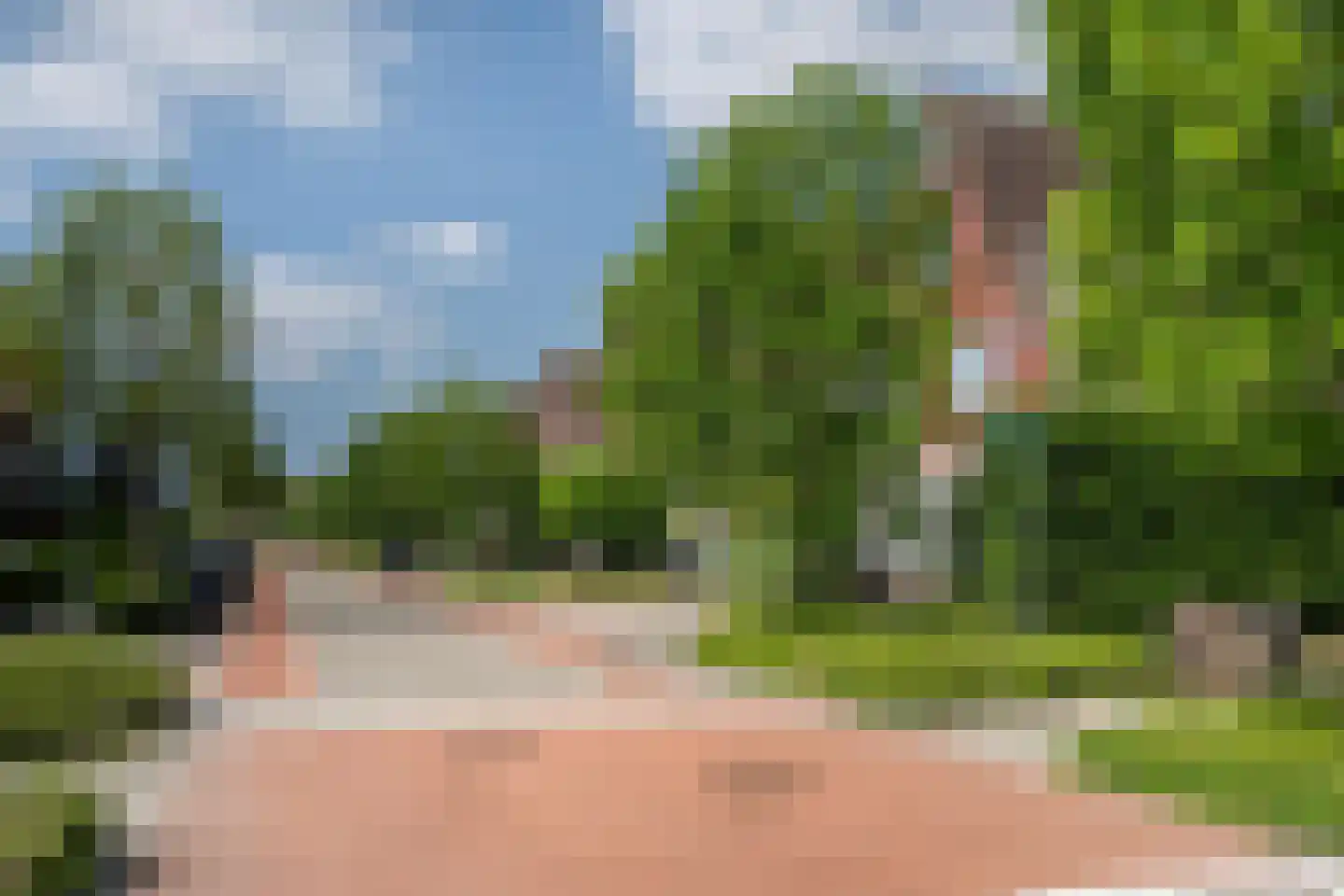 Windsingel 44 Tholen thumbnail 9