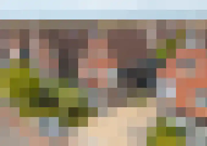 Windsingel 46 Tholen