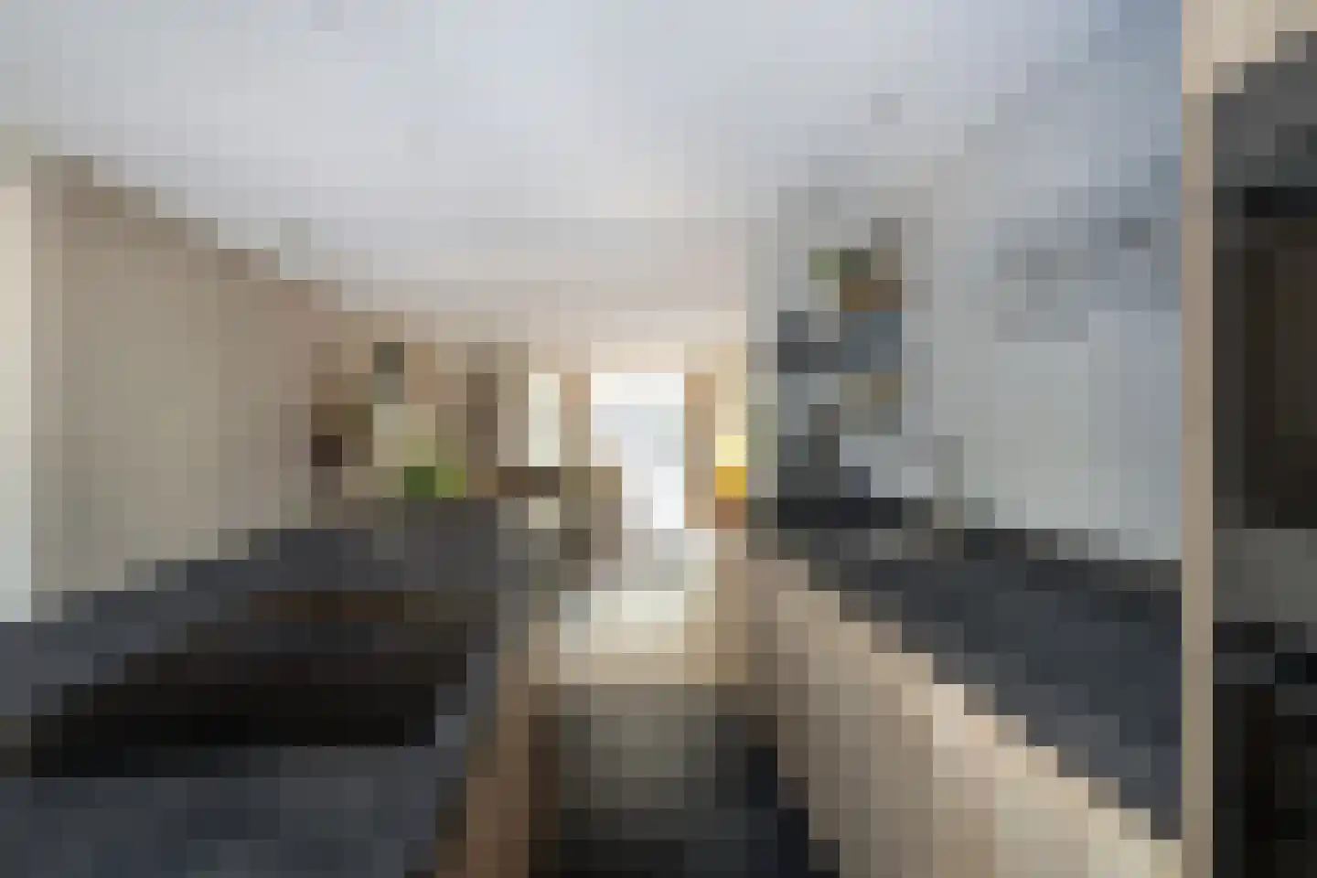 Windsingel 57 Tholen thumbnail 13