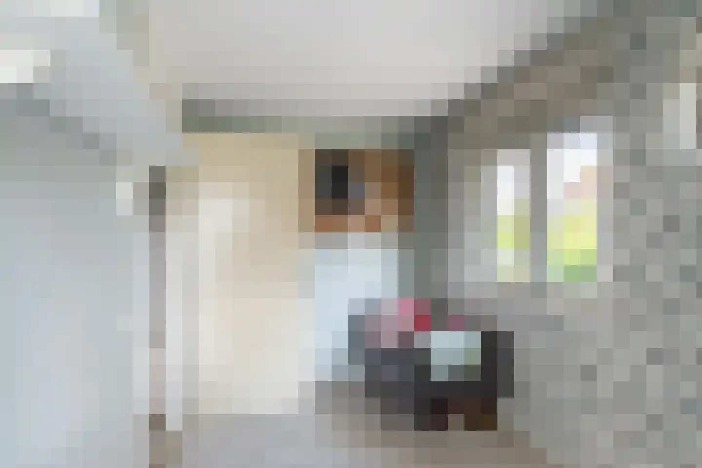 Windsingel 57 Tholen thumbnail 24