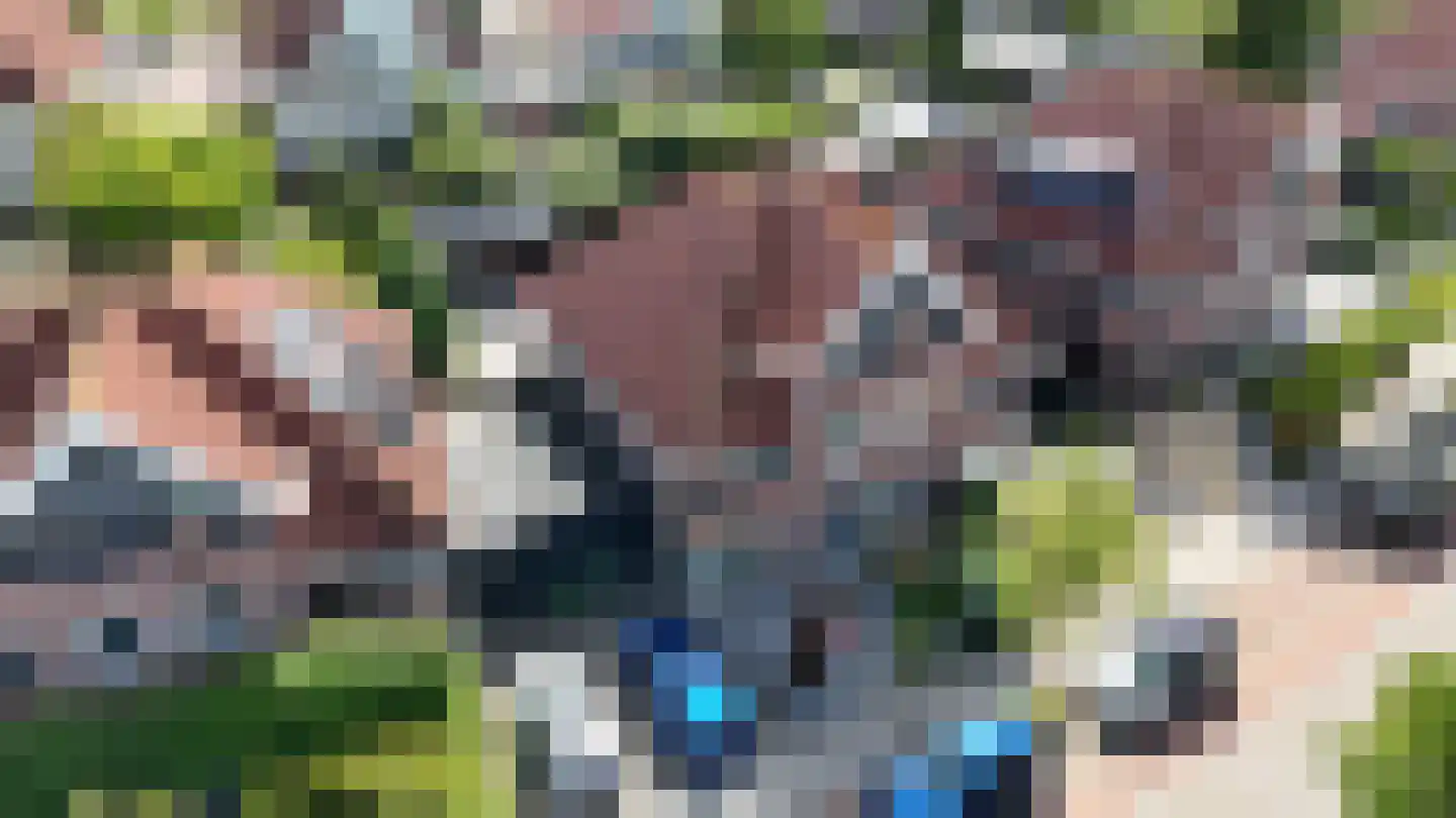 Windsingel 57 Tholen thumbnail 36