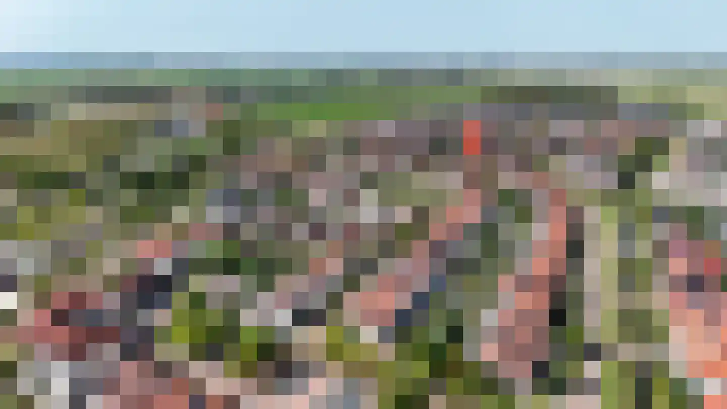 Windsingel 57 Tholen thumbnail 37