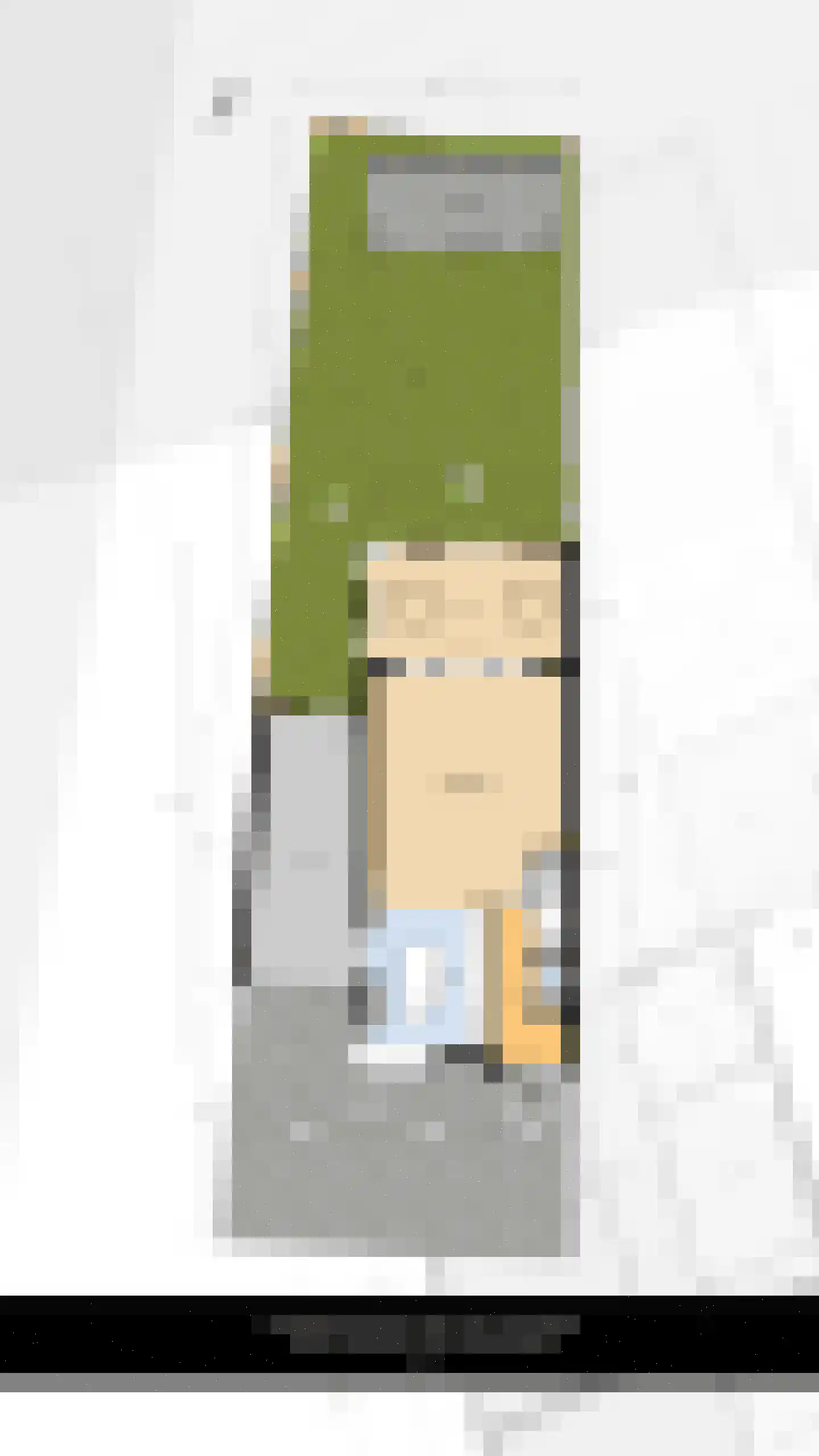 Windsingel 57 Tholen thumbnail 41