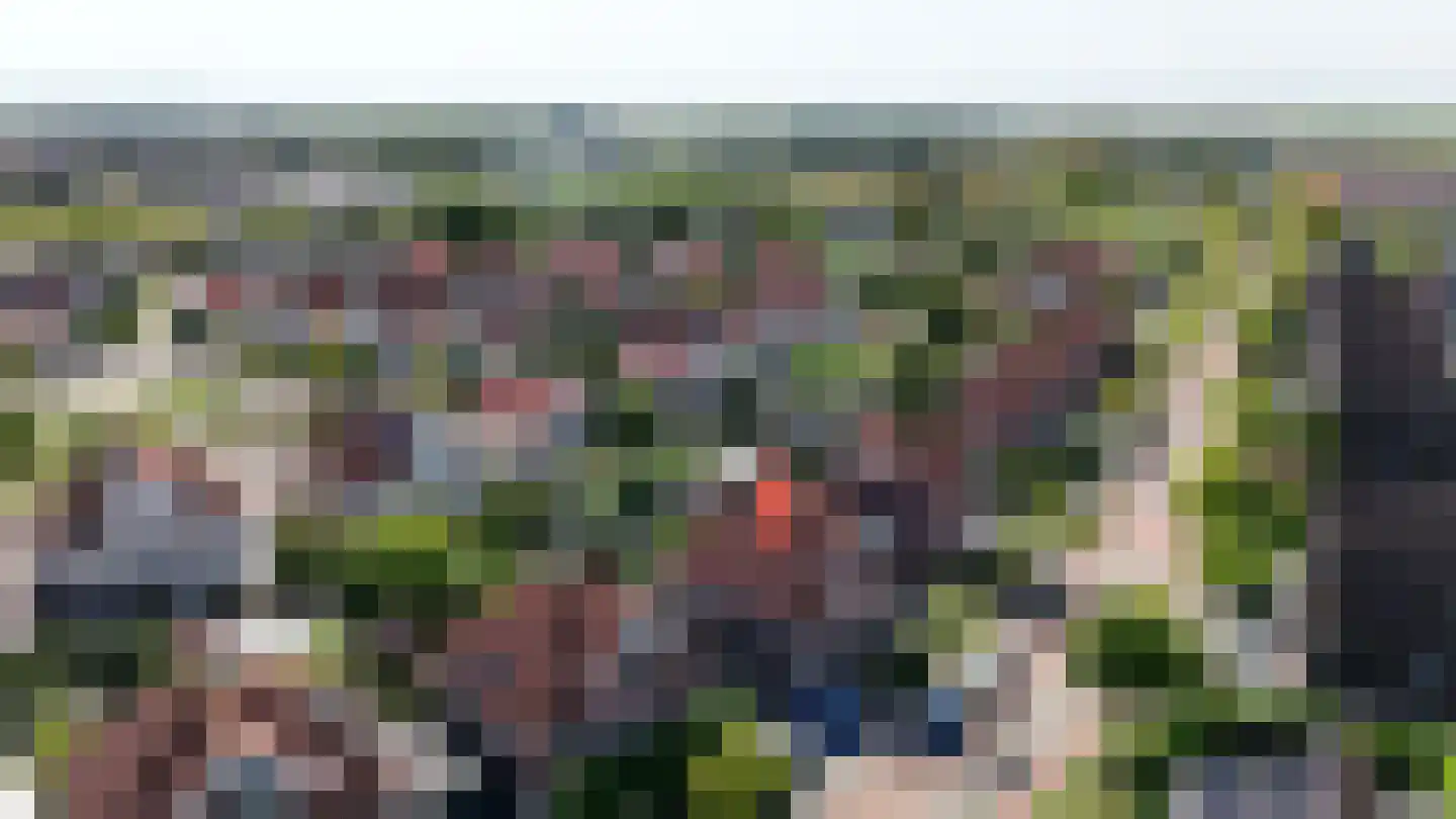 Windsingel 57 Tholen thumbnail 5