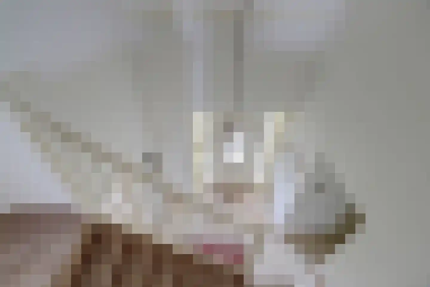 Windsingel 6 Tholen thumbnail 23