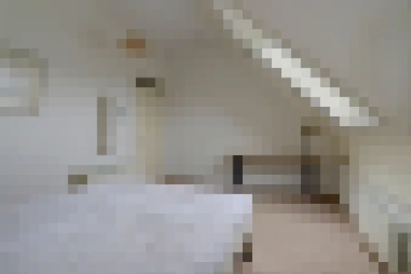 Windsingel 6 Tholen thumbnail 30