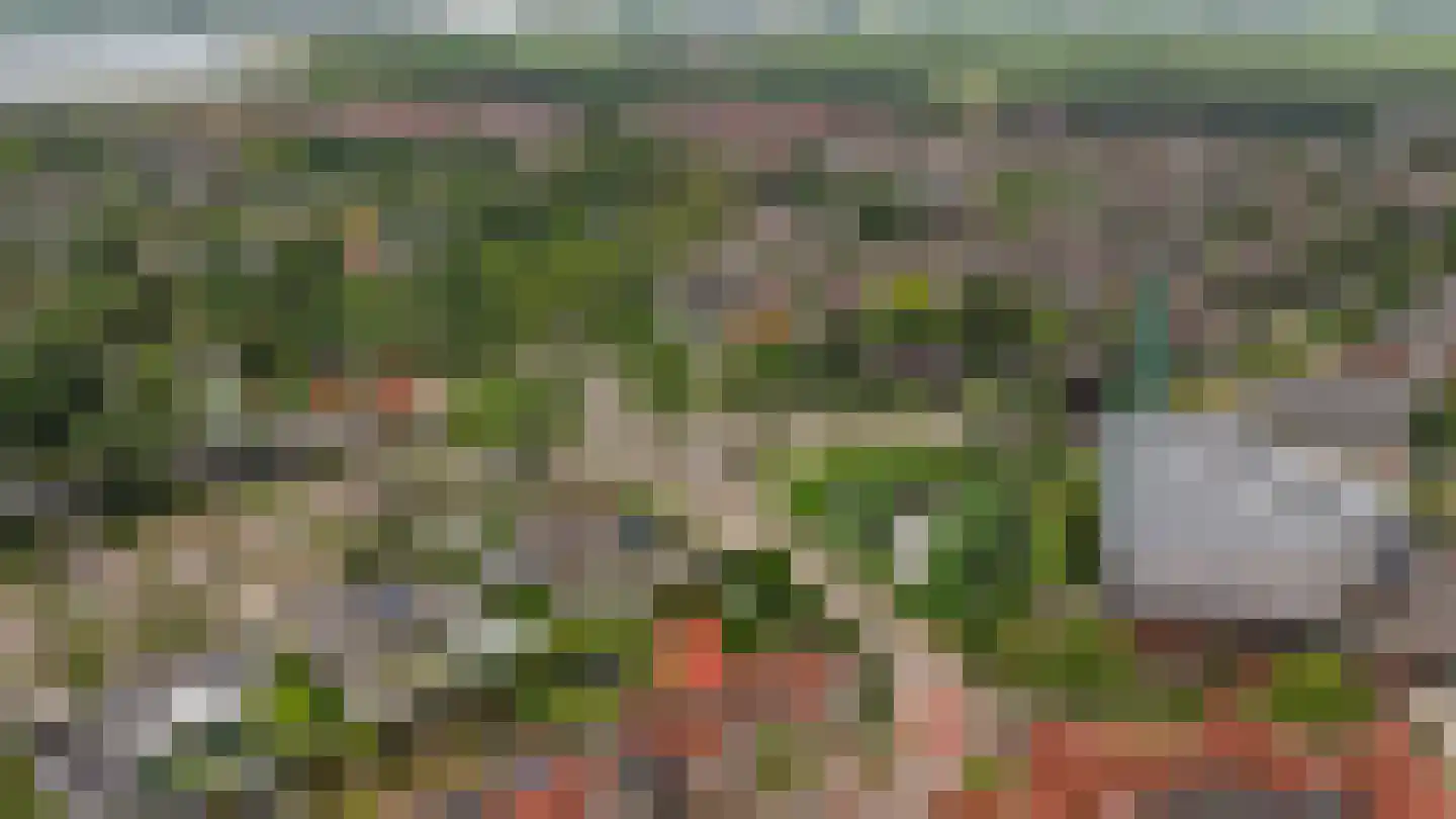 Windsingel 6 Tholen thumbnail 5