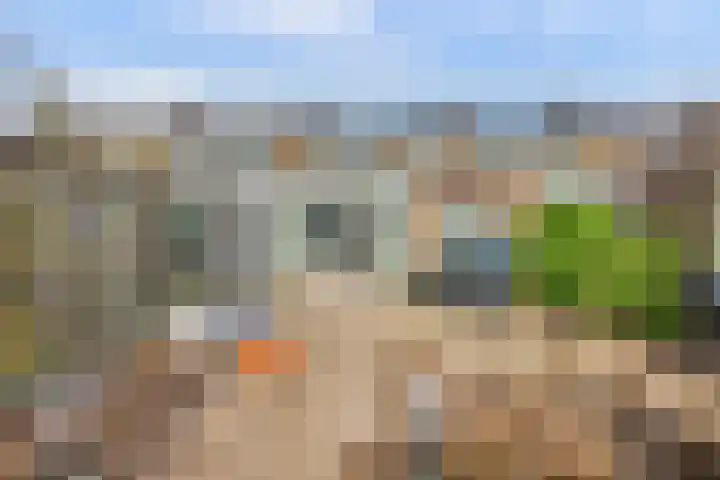 Windslaan 25 Almelo thumbnail 25