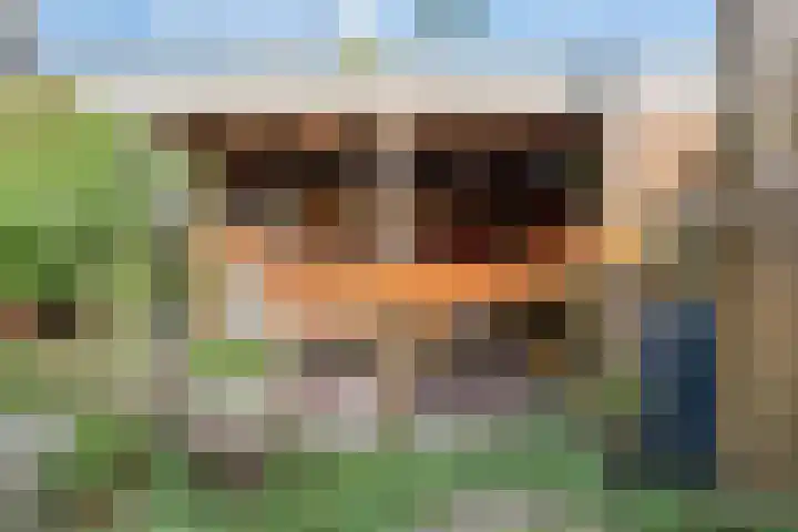 Windslaan 25 Almelo thumbnail 35