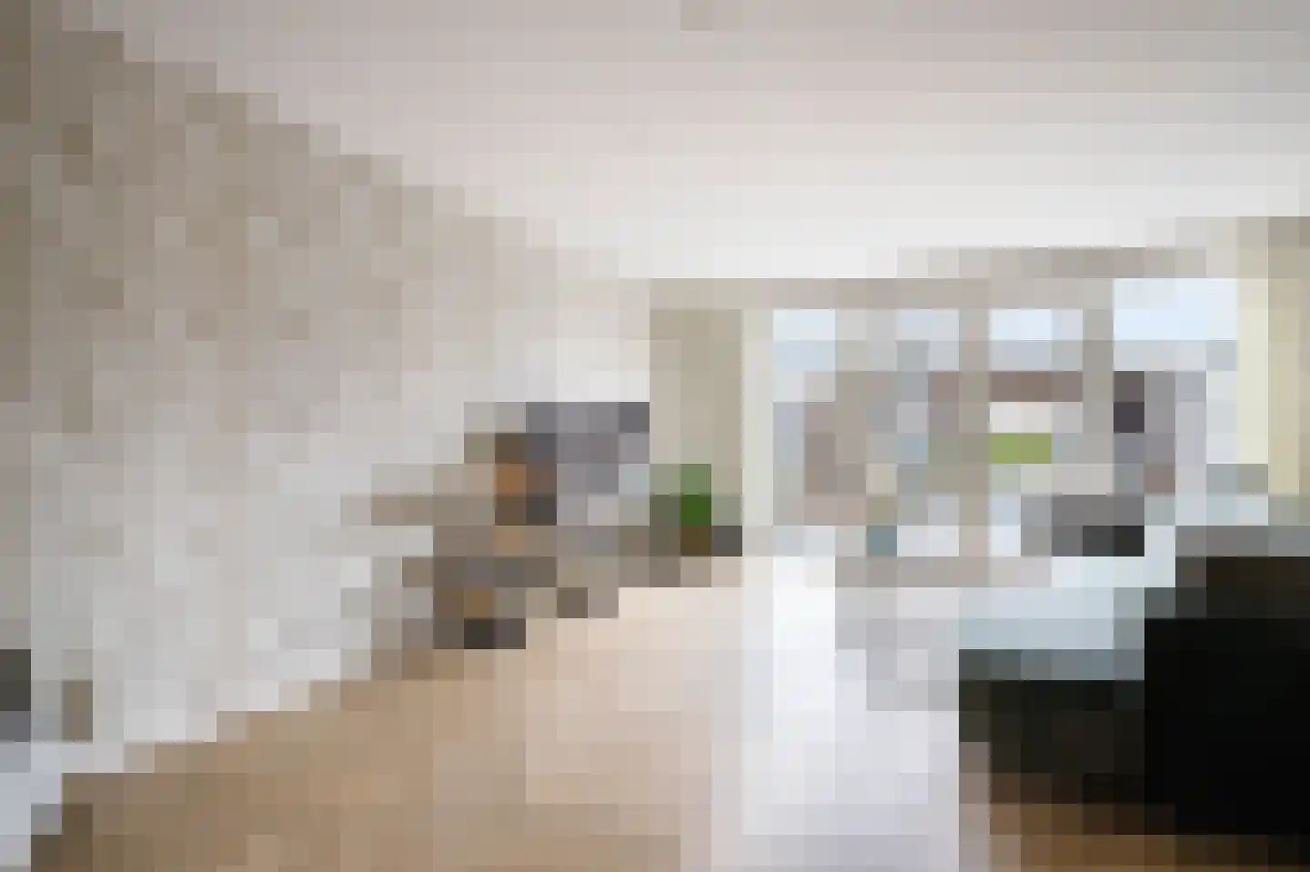 Windsor 15 Zevenhuizen thumbnail 10