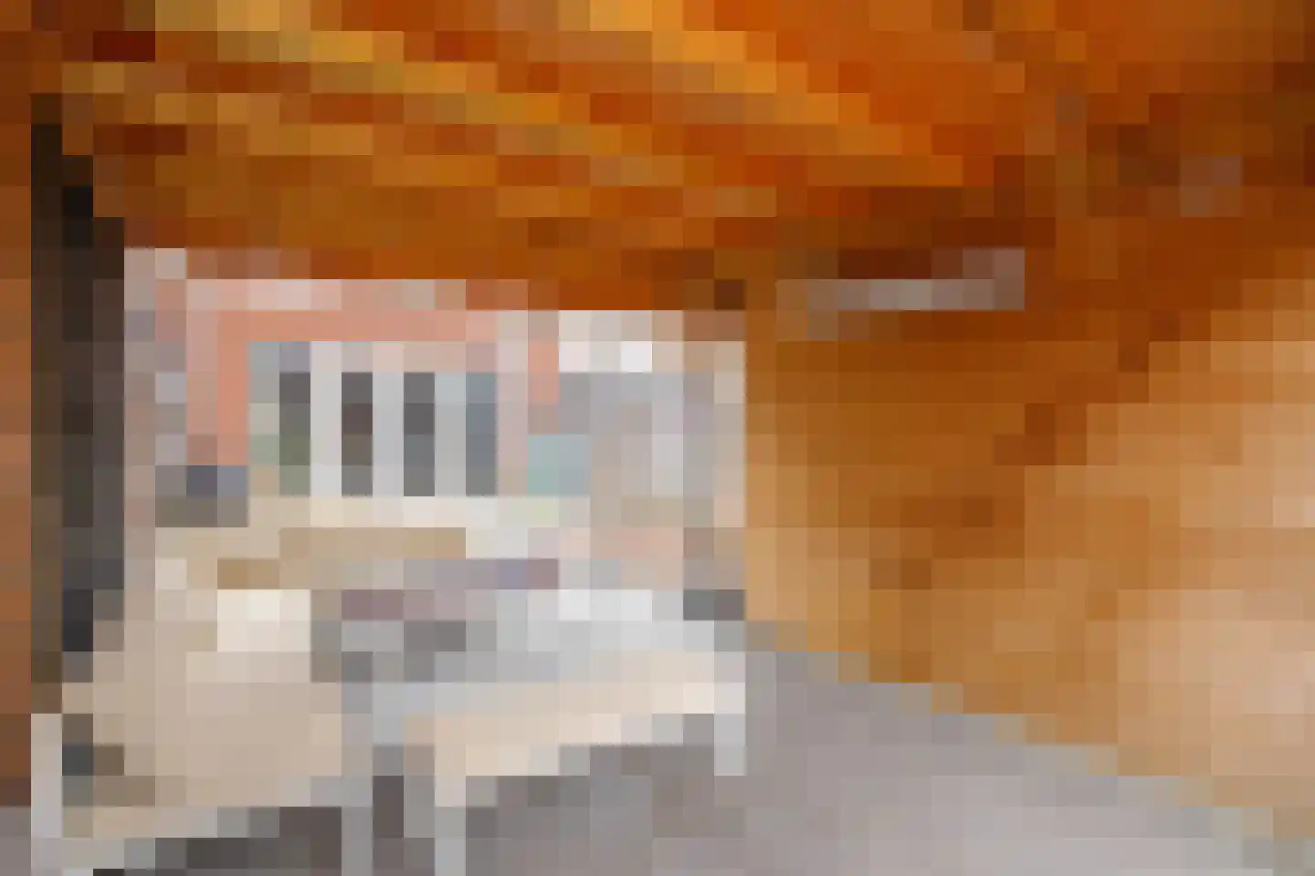 Windsor 15 Zevenhuizen thumbnail 5