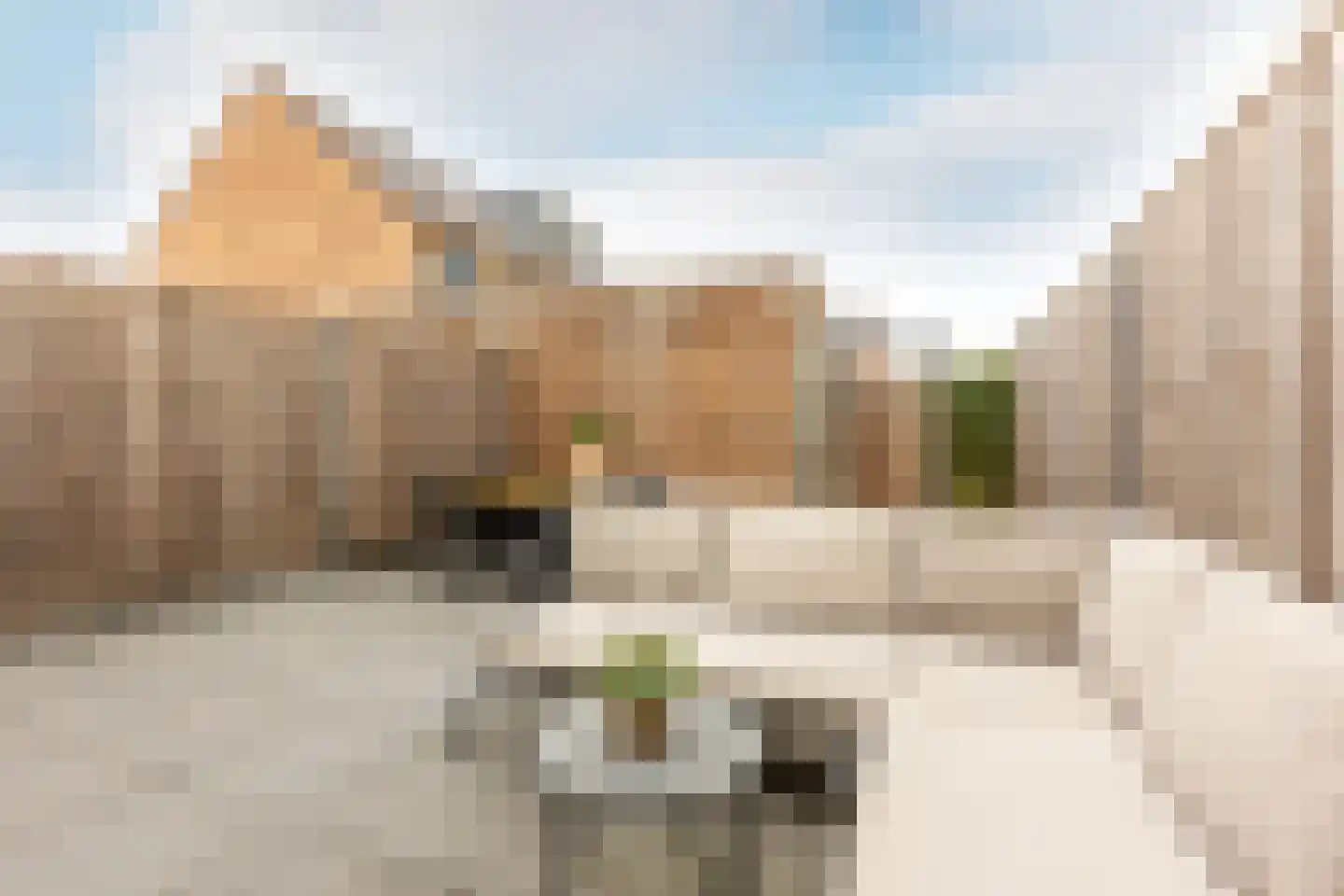 Windsor 8 Zevenhuizen thumbnail 16