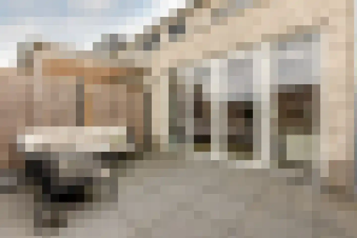 Windsor 8 Zevenhuizen thumbnail 20