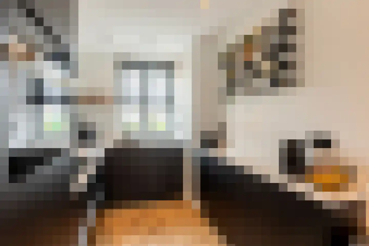 Windsor 8 Zevenhuizen thumbnail 32