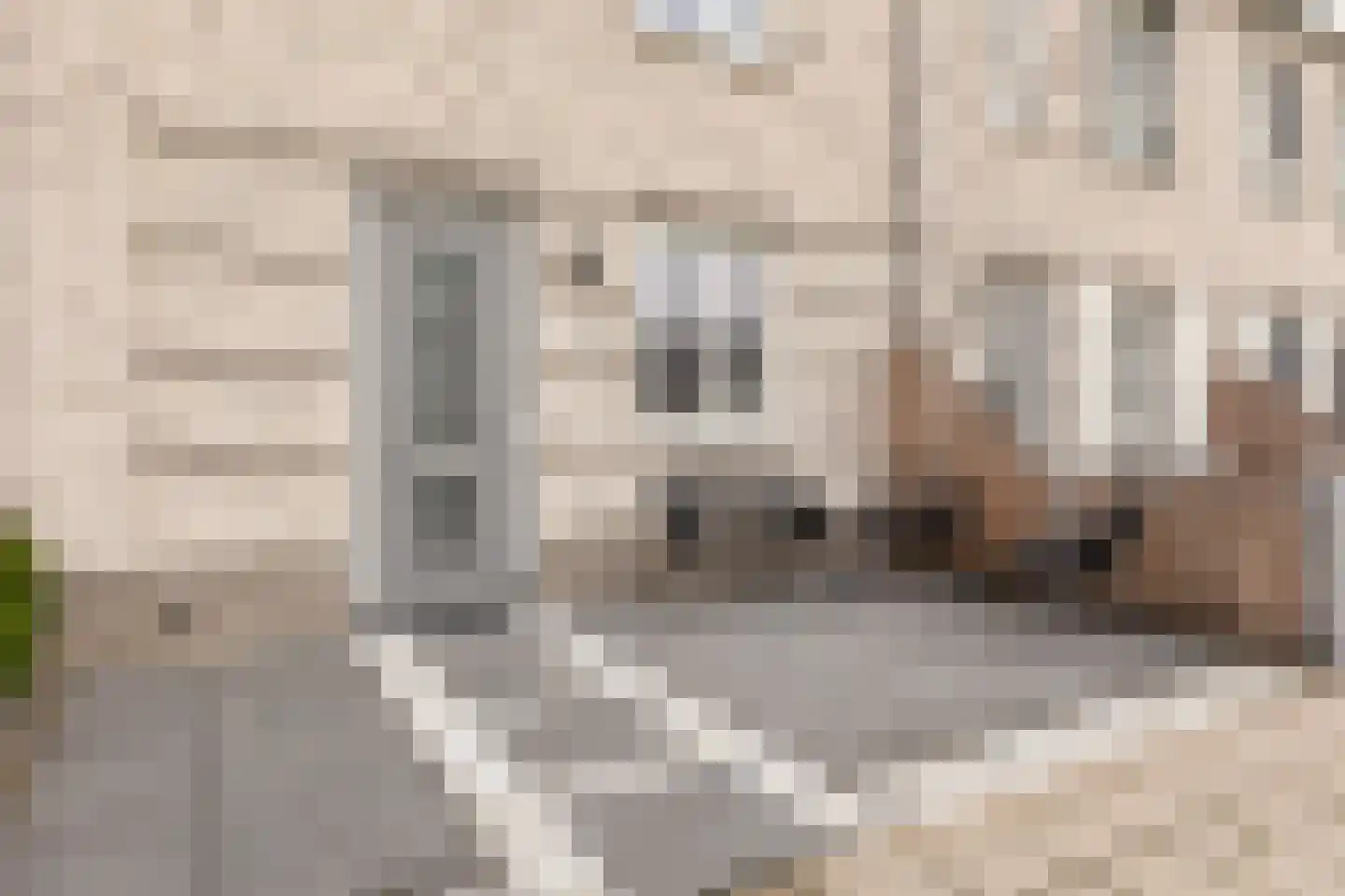 Windsor 8 Zevenhuizen thumbnail 8