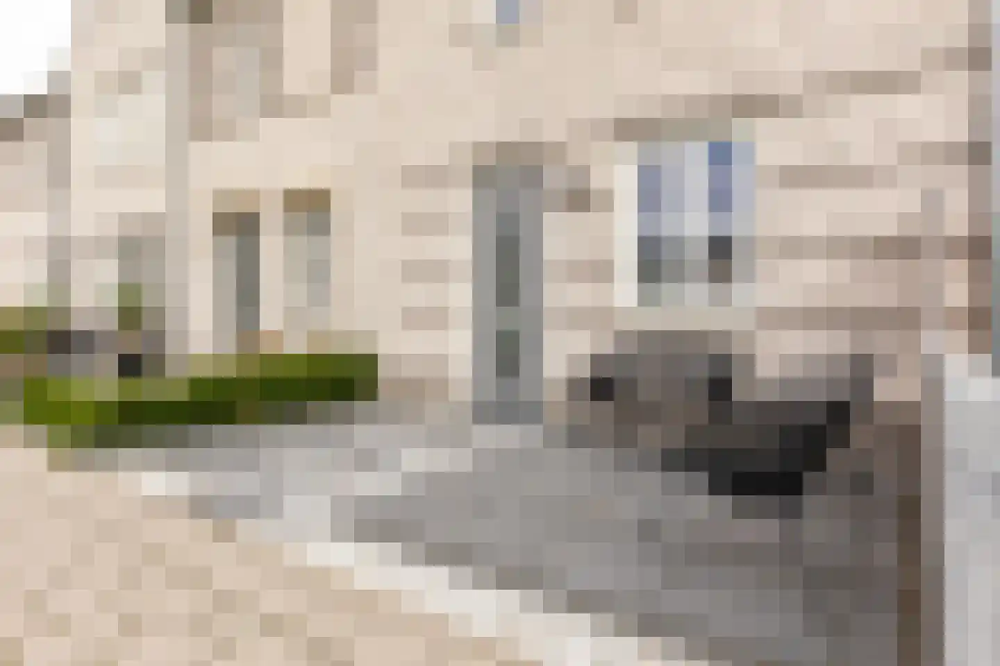 Windsor 8 Zevenhuizen thumbnail 9