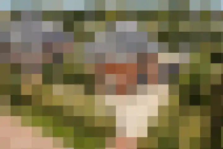 Windsorhof 29 in Dordrecht