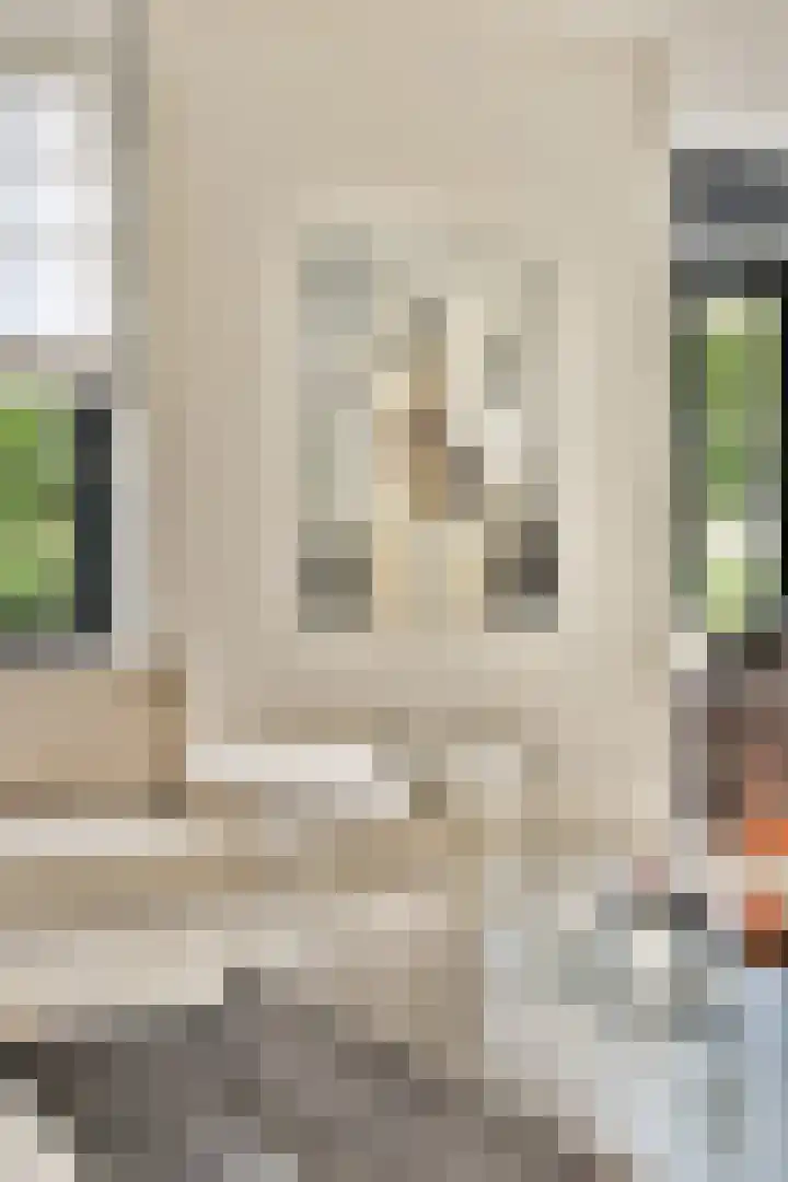 Windsorhof 29 Dordrecht thumbnail 13