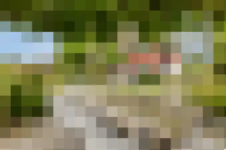 Windsorhof 29 Dordrecht thumbnail 5