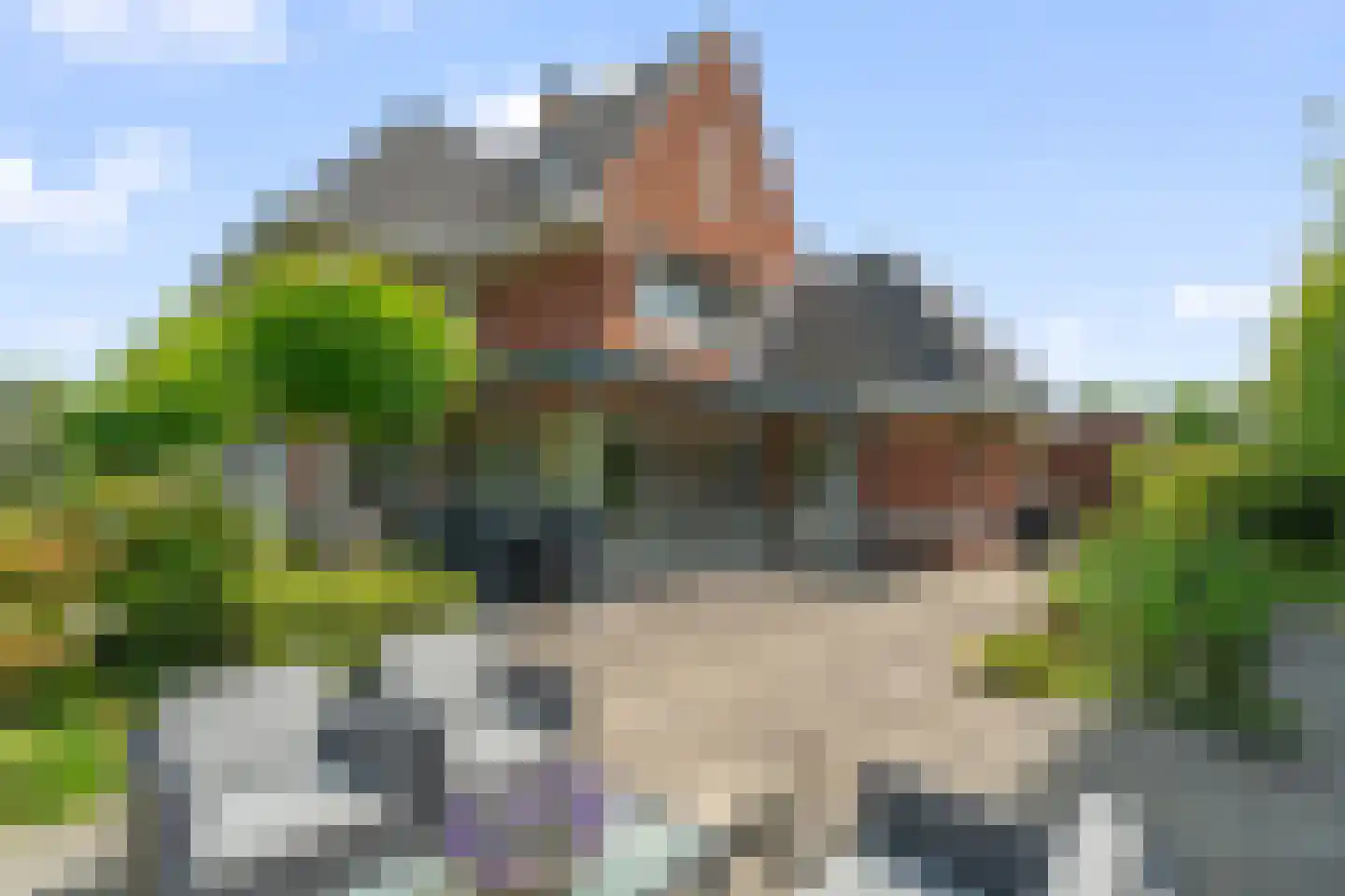 Windsorhof 3 Dordrecht thumbnail 4