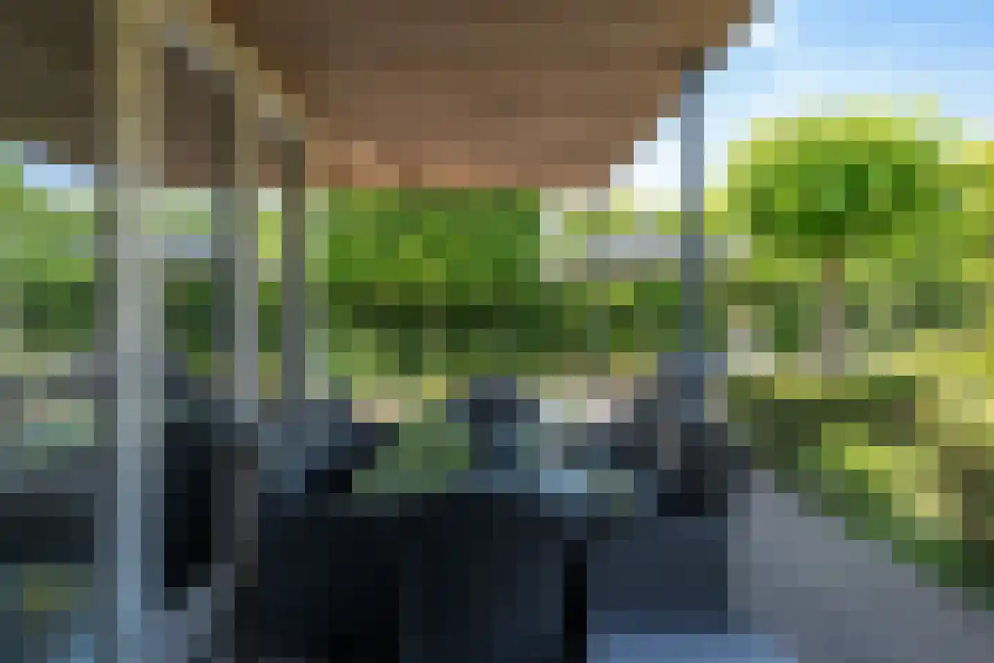 Windsorhof 3 Dordrecht thumbnail 6