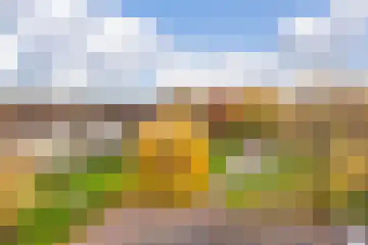 Windstilte 143 De Meern thumbnail 21