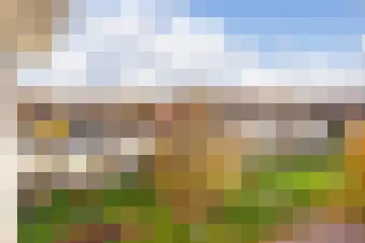 Windstilte 143 De Meern thumbnail 22