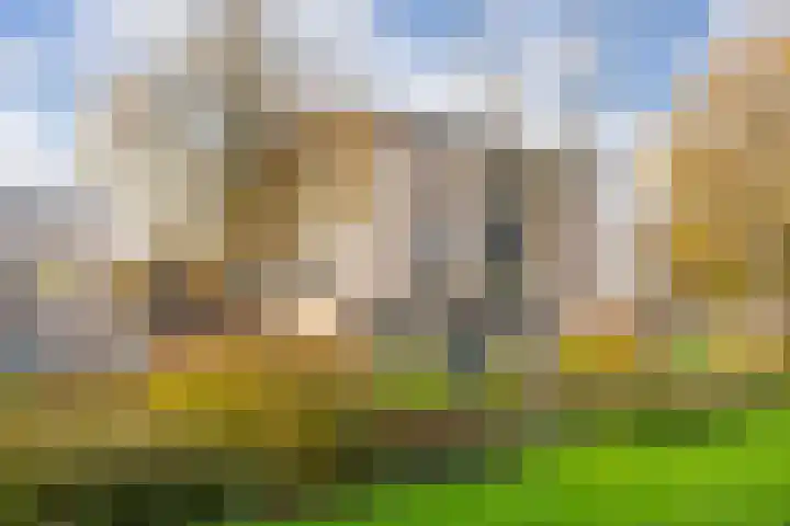 Windstilte 143 De Meern thumbnail 37
