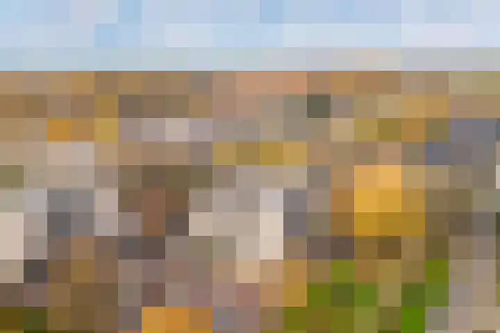 Windstilte 143 De Meern thumbnail 4