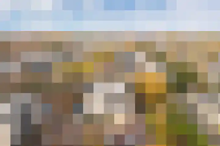 Windstilte 143 De Meern thumbnail 40