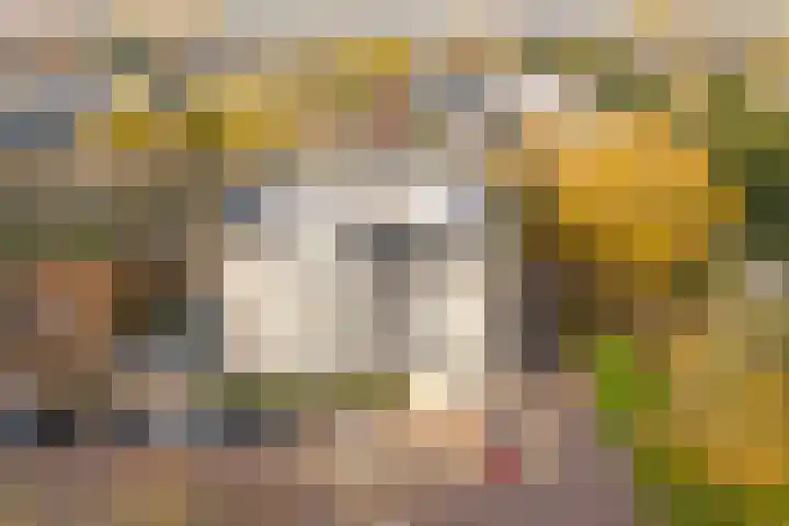 Windstilte 143 De Meern thumbnail 41