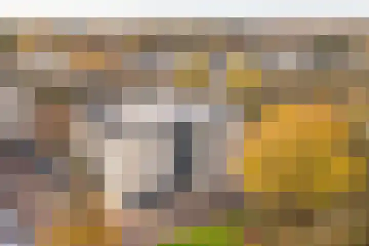 Windstilte 143 De Meern thumbnail 42