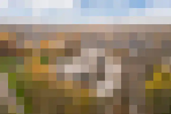 Windstilte 143 De Meern thumbnail 43
