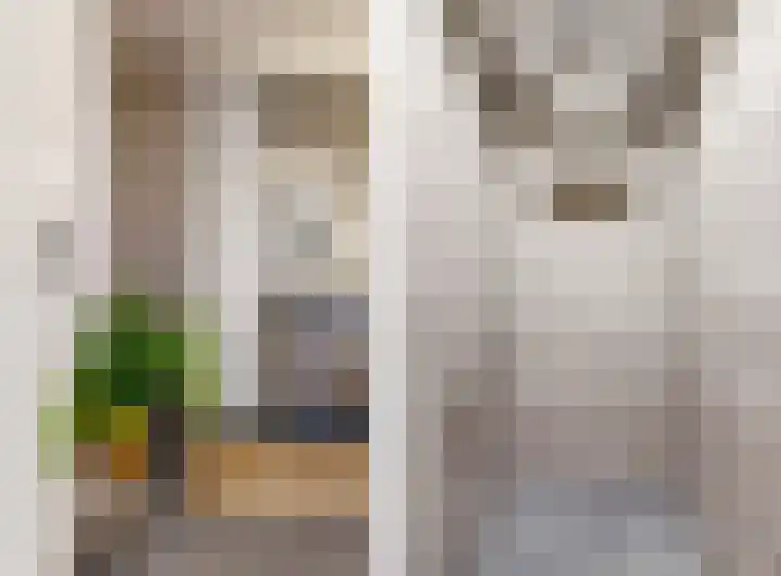 Windstilte 443 De Meern thumbnail 17