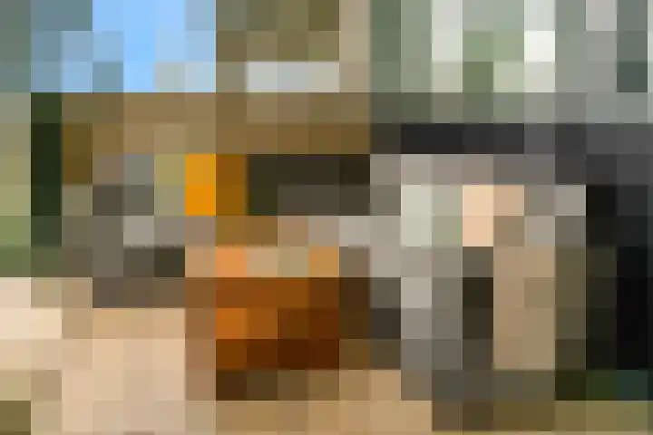 Windstilte 443 De Meern thumbnail 19