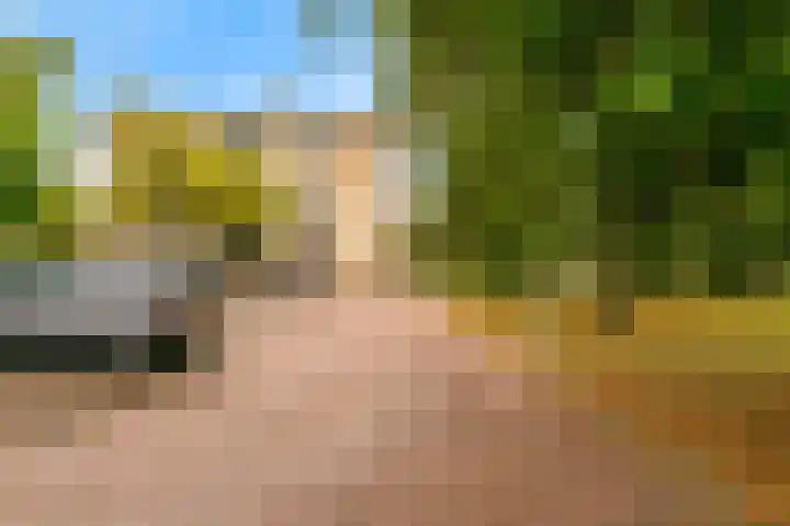 Windstilte 443 De Meern foto 2