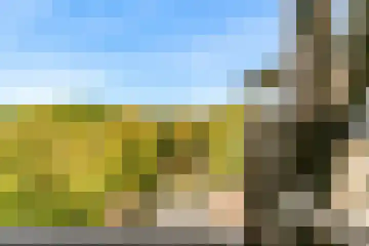 Windstilte 443 De Meern thumbnail 22