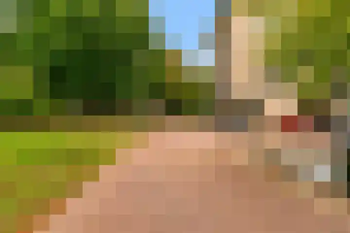 Windstilte 443 De Meern thumbnail 23