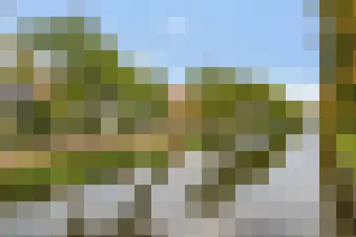 Windstilte 443 De Meern thumbnail 26