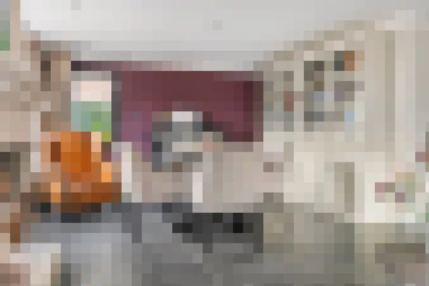 Windvaan 20 Geldermalsen thumbnail 11