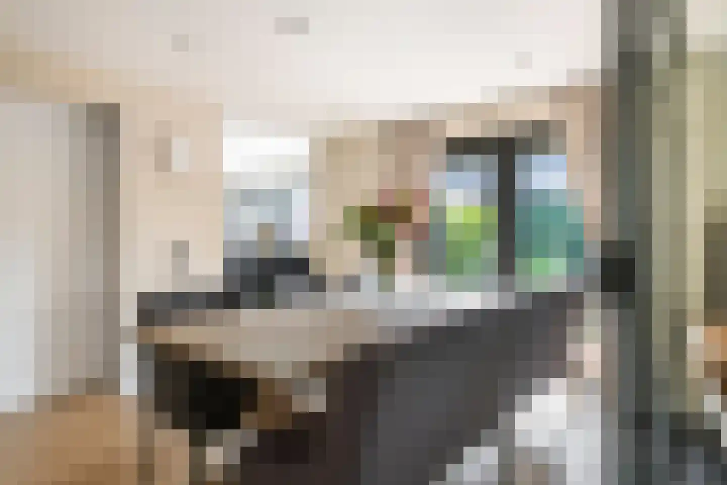 Windvaan 20 Geldermalsen thumbnail 14