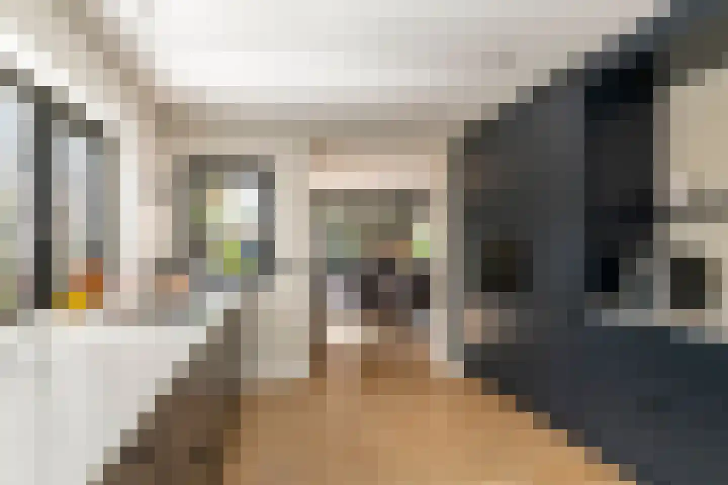 Windvaan 20 Geldermalsen thumbnail 16