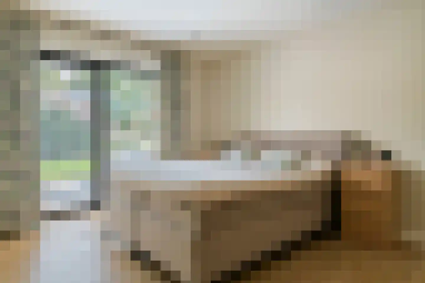 Windvaan 20 Geldermalsen thumbnail 20